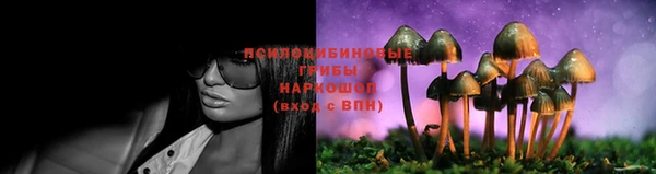 бошки Абинск