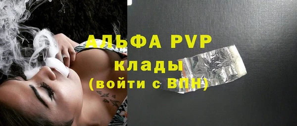 спайс Няндома