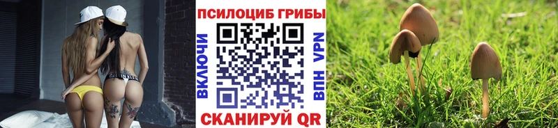 Галлюциногенные грибы Magic Shrooms  где купить наркоту  Сафоново 