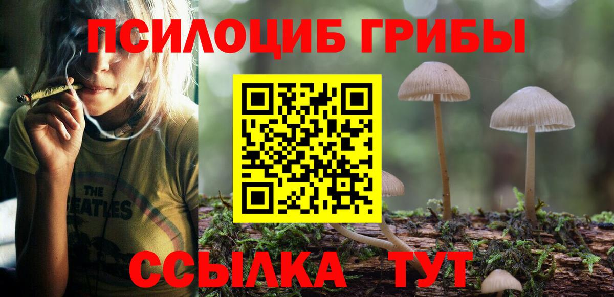 Галлюциногенные грибы Magic Shrooms  Вход с VPN  Сафоново  Псилоцибиновые грибы Psilocybe 