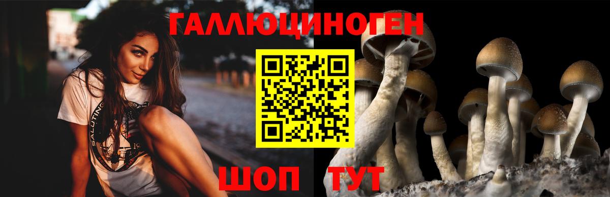 Галлюциногенные грибы Cubensis Сафоново